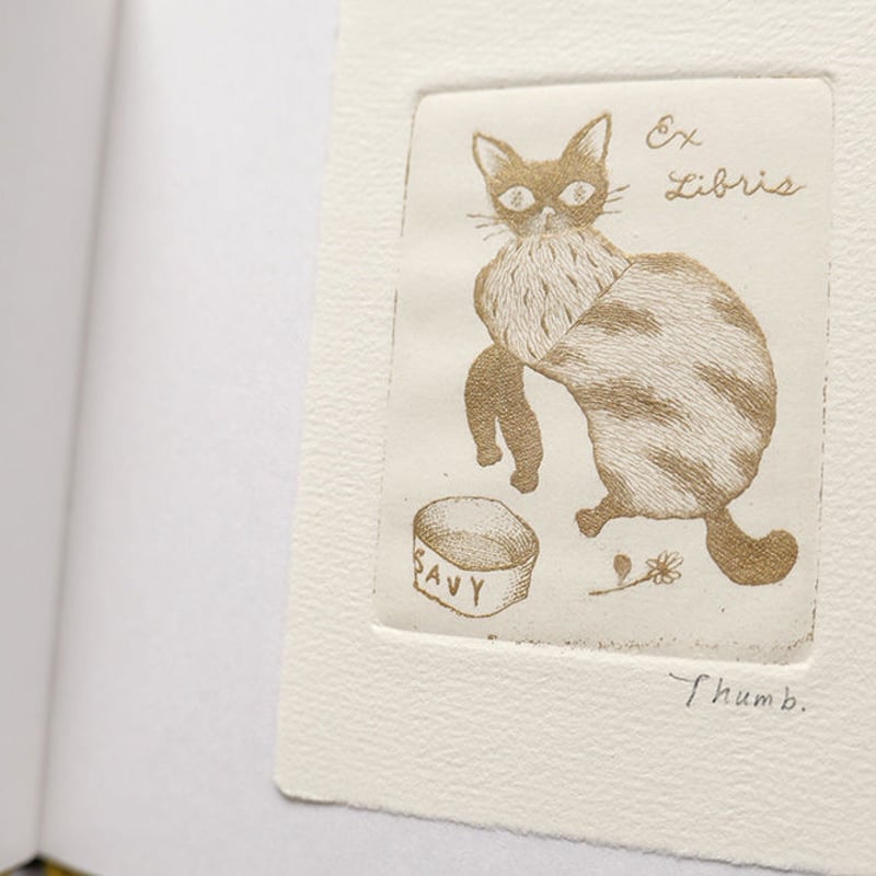 とるにたらないおとこの話』（特別愛蔵版） | URESICA