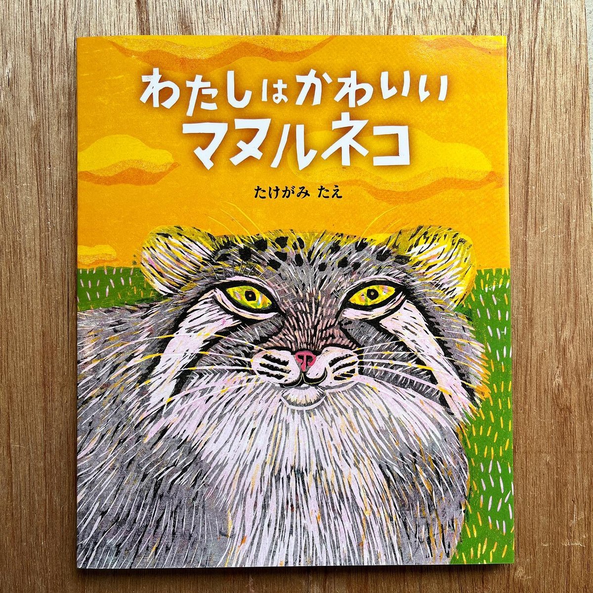 アクリル画　マヌルネコ アクリル画マヌルネコ