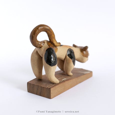 柳本史　猫１