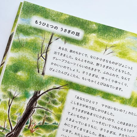 新装版『うさぎのルーピースー 』どいかや
