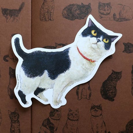 『なまえのないねこ』 型抜きカード