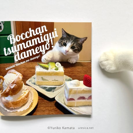 『ぼっちゃんつまみ食いダメよ』