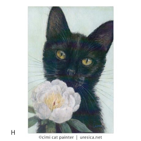 Čimi Cat Painter  ポストカード１