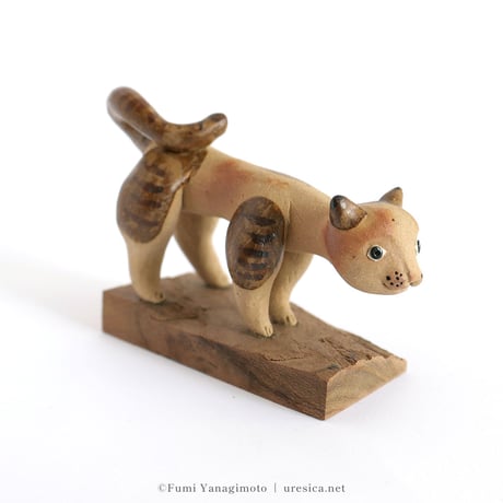 柳本史　猫４