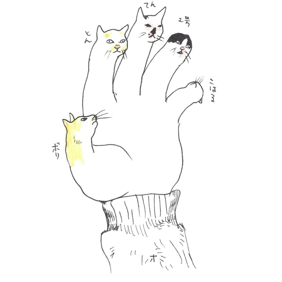 57b3137c1003153344002c59