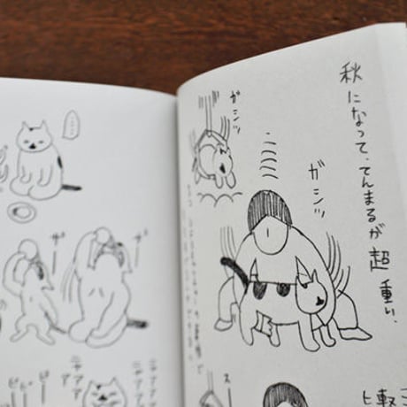 イシグロアヤコ　『てんまると家族絵日記2』