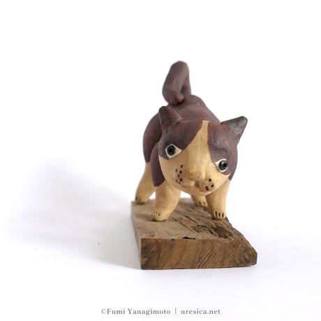 柳本史　猫３