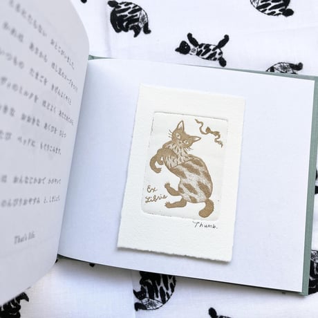 『とるにたらないおとこの話』（新装愛蔵版）＊版画付★サイン本