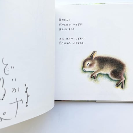 新装版『うさぎのルーピースー 』どいかや