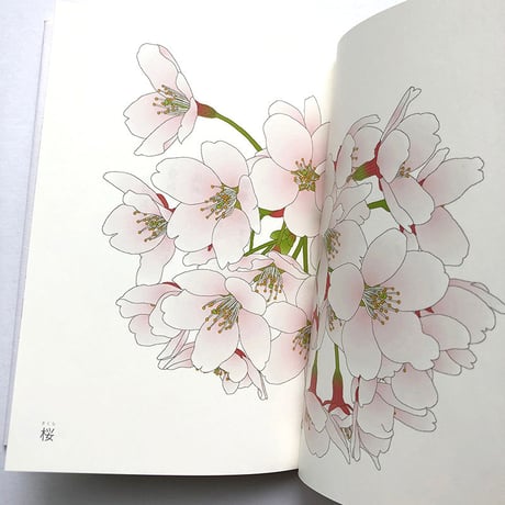 『いのちの花、希望のうた』
