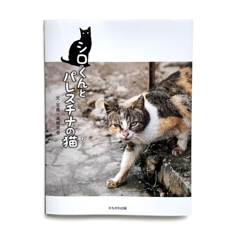 坂本千明 | STORES