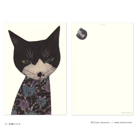 坂本千明　ポストカード（猫）