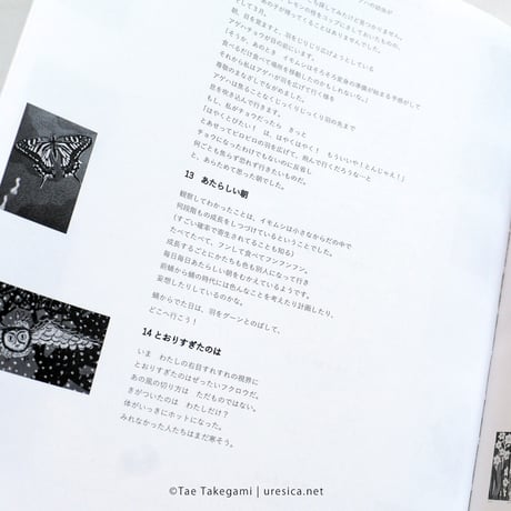 竹上妙 作品集『見たら見られた２』
