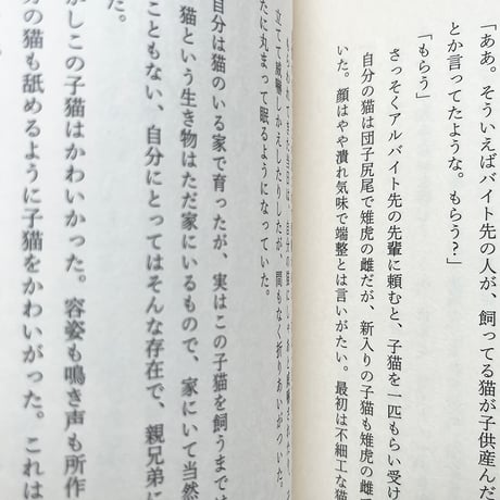 『私の猫』十文字青★サイン本