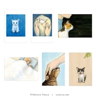 猫野ぺすか「11月の猫」ポストカード