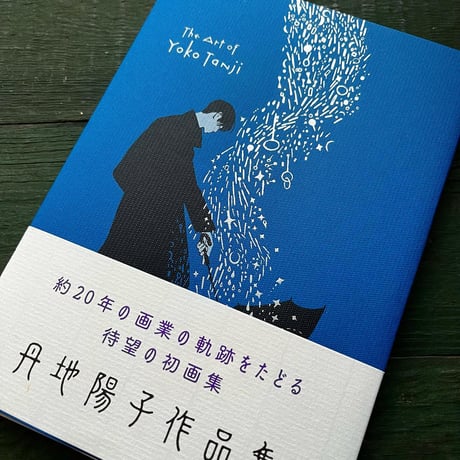 『丹地陽子作品集』