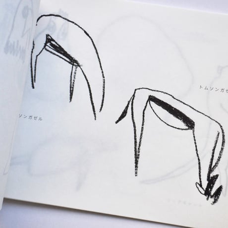 安藤智『ZUKAN』