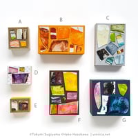 杉山巧 x HAKOSICA ４