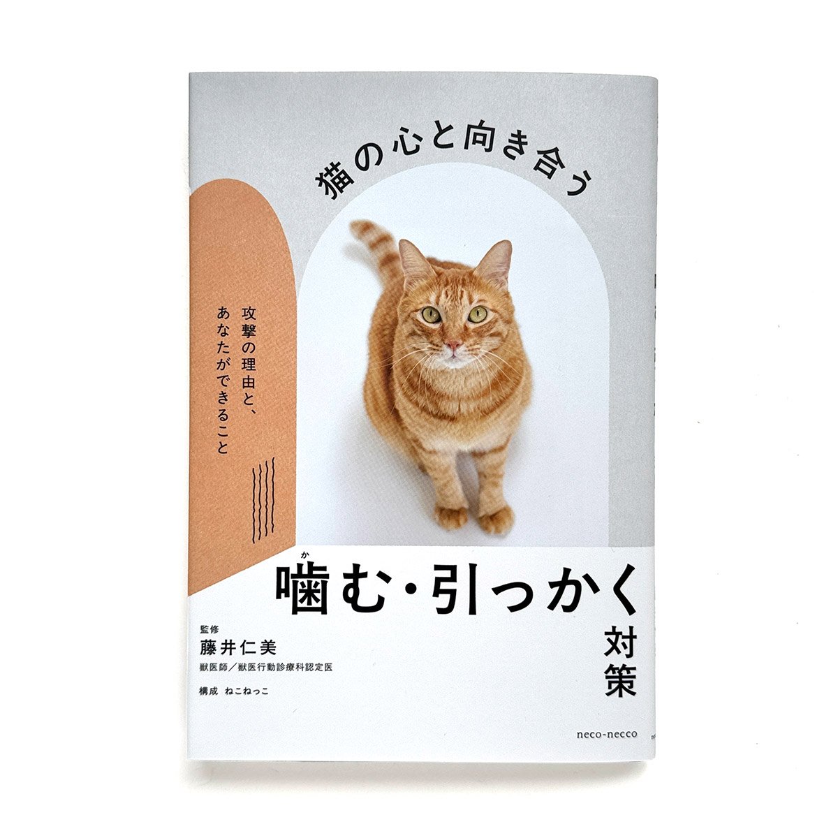猫の心と向き合う 噛む・引っかく対策 〜攻撃の理由と、あなたが