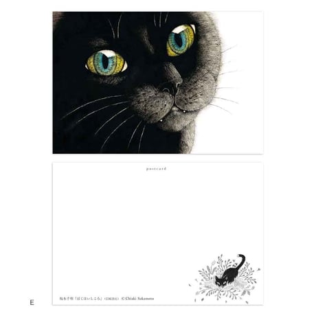 坂本千明「ぼくはいしころ」ポストカード