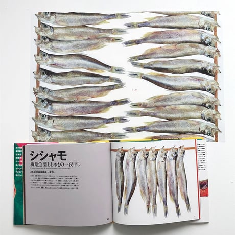 加藤休ミ「ししゃも・チャーハン」包装紙
