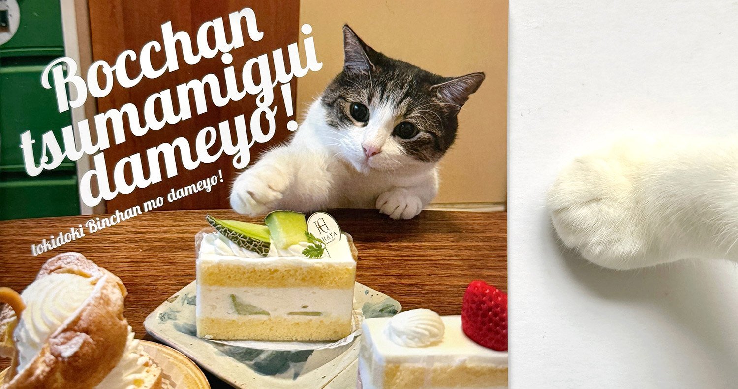 CATEGORY マリーニモンティーニ marini＊monteany | URESICA