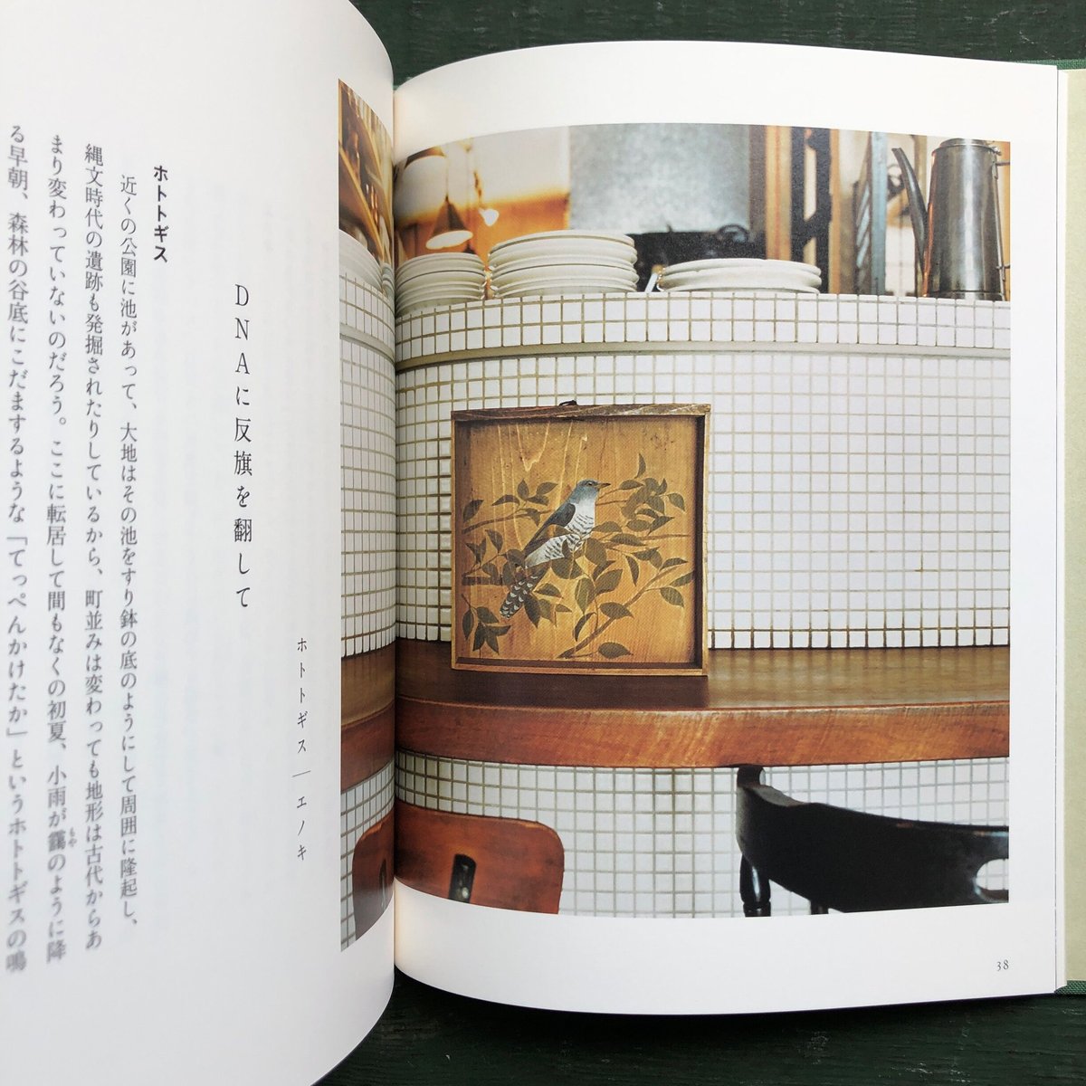 草木鳥鳥文様』ユカワアツコ | URESICA