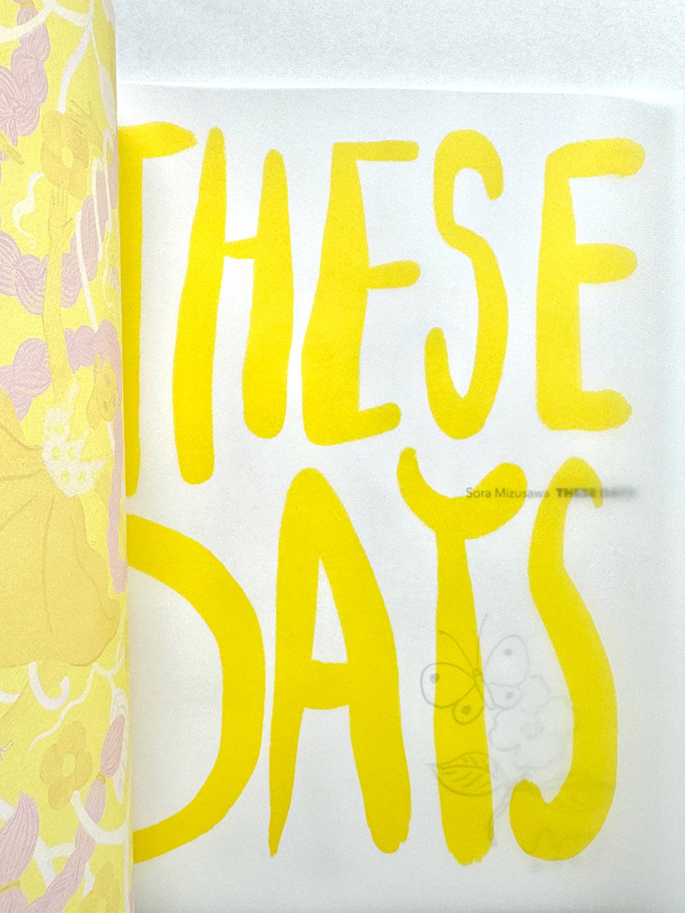 These Days』水沢そら作品集☆サイン本 | URESICA