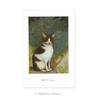 猫野ぺすか「金木犀」ポストカード