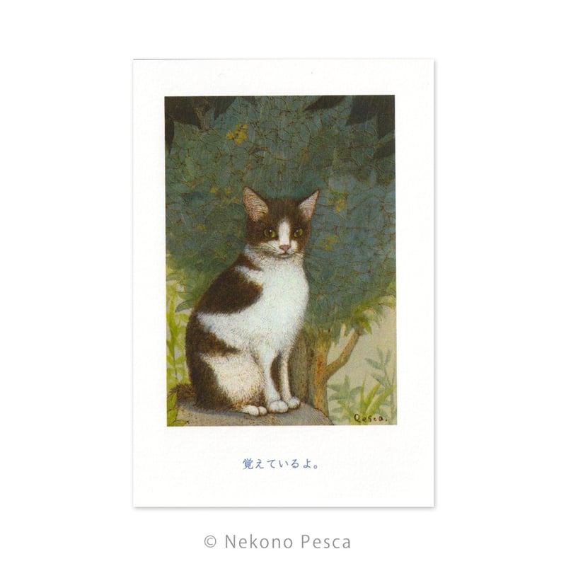 猫野ぺすか「金木犀」ポストカード | URESICA
