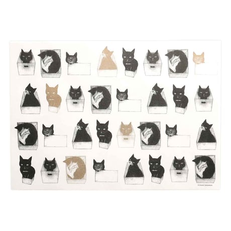 坂本千明　ブックカバー（箱猫）