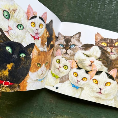 『町田尚子画集　隙あらば猫』