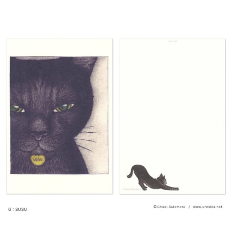 坂本千明　ポストカード（猫）