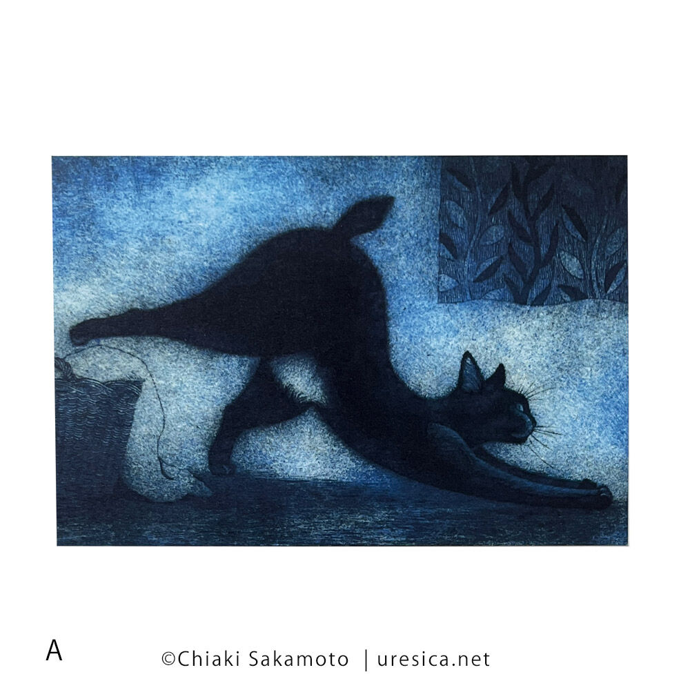 坂本千明「ねこのねえ」ポストカード | URESICA