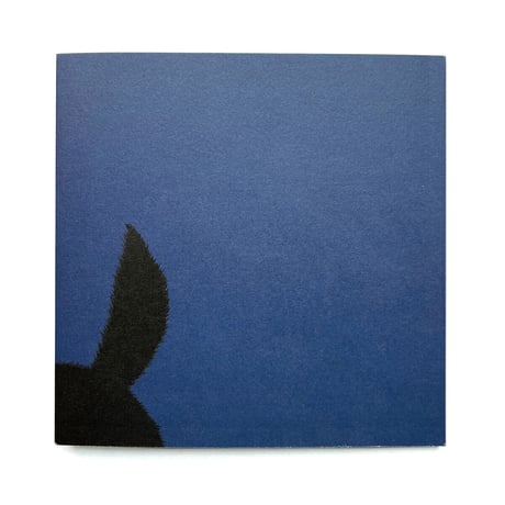 『ねこのねえ』坂本千明★サイン本