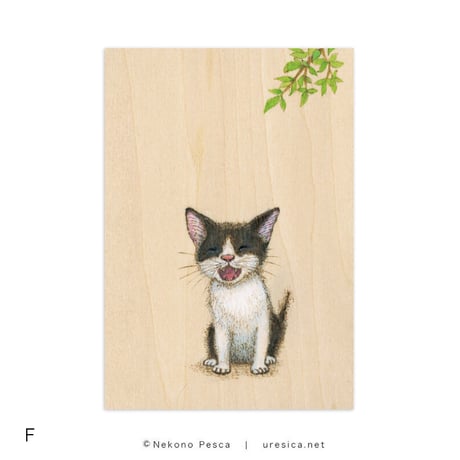 猫野ぺすか「11月の猫」ポストカード