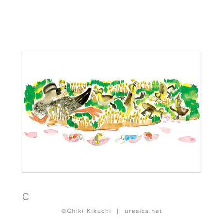 きくちちき 「さくらのふね」 ポストカード