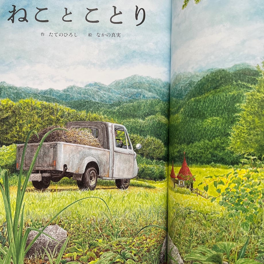 6482d305d4932600332ff82f