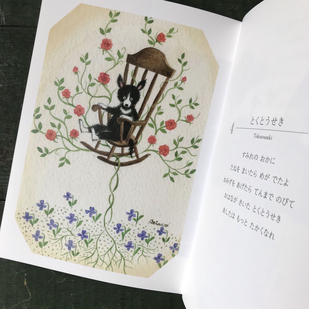 とおい国、やさしい人たち〜プラハに暮らして〜いしかわやすこ【初版本