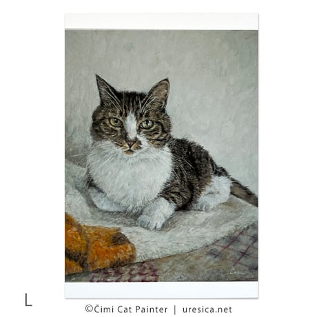 Čimi Cat Painter  ポストカード２
