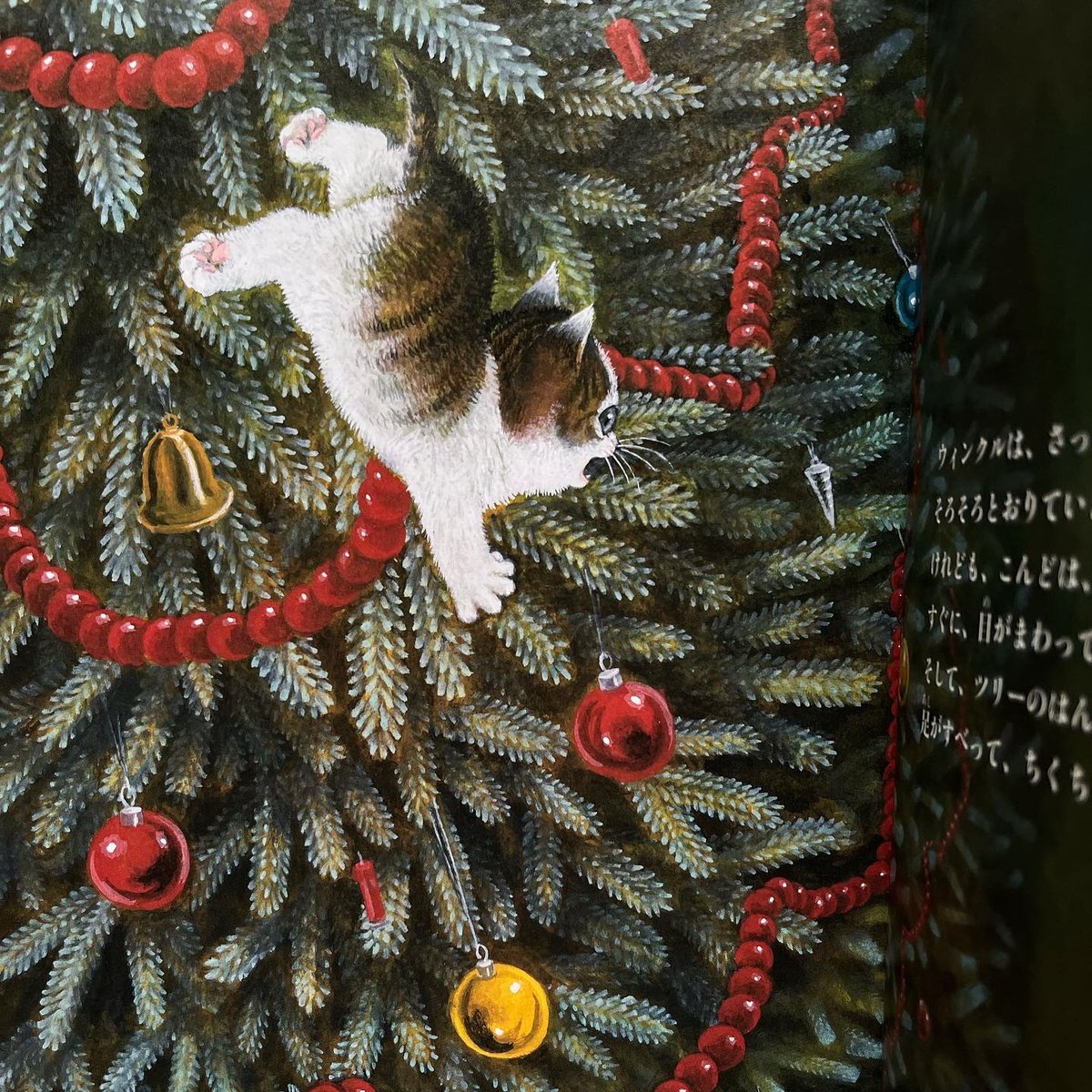 こねこのウィンクルとクリスマスツリー』さとうゆうすけ☆サインカード