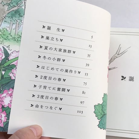 『エナガの一生』