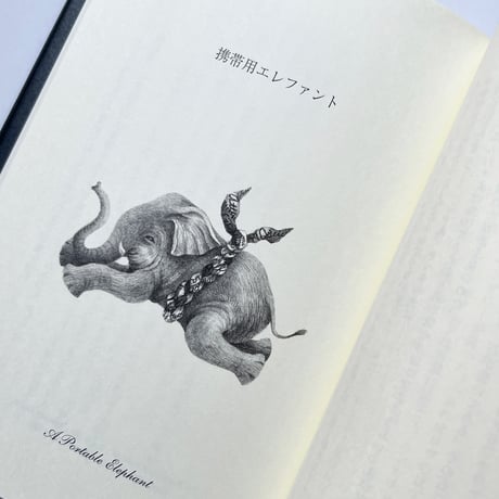 『お城の人々』ジョーン・エイキン／さかたきよこ 絵