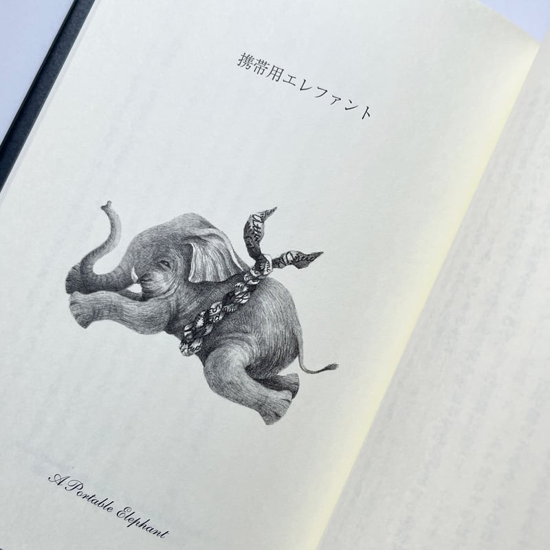 お城の人々』ジョーン・エイキン／さかたきよこ 絵 | URESICA