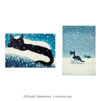 坂本千明　ポストカード（雪）