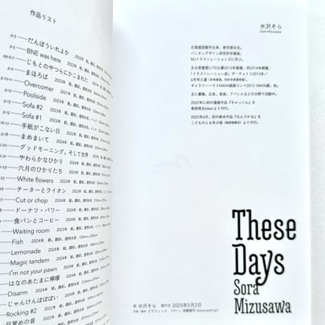 『These Days』水沢そら作品集★サイン本
