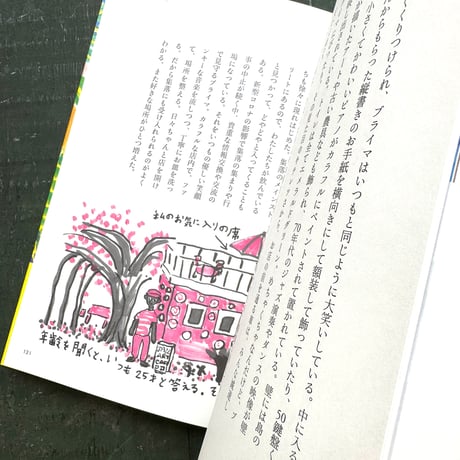 『島まみれ帳』ミロコマチコ