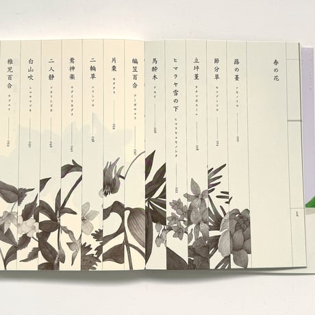『野山花花図譜』梨木香歩・波多野光