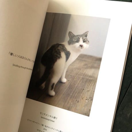 猫ラボ「FELT CATS　Nekolabo Works」
