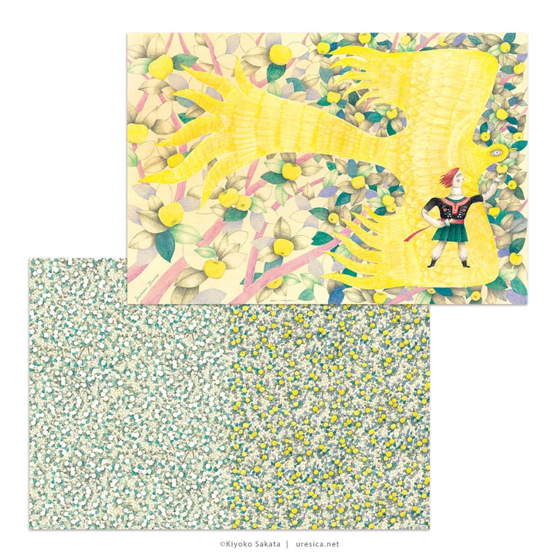 包装紙です fit=scale-down,w=1200